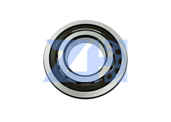 Farbsilber Bagger-Slewing Motor Bearings AP5S67