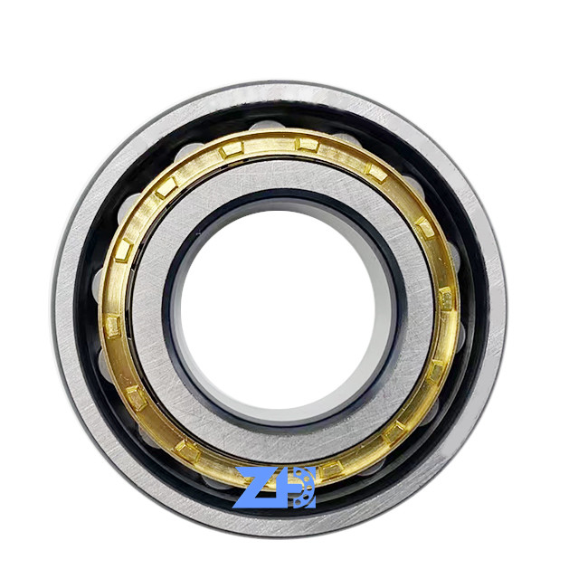 Elektr. Steuermodul RN-206 einzelner unterschiedlicher Entwurf 30*62*16mm der hohen Präzision des langen Lebens des Reihen-Zylinderrollenlagermessing-Käfigs