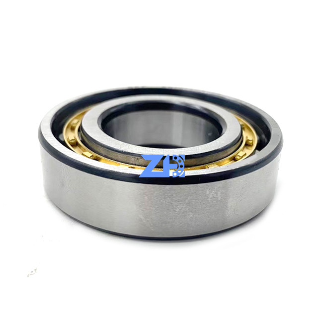 Elektr. Steuermodul RN-206 einzelner unterschiedlicher Entwurf 30*62*16mm der hohen Präzision des langen Lebens des Reihen-Zylinderrollenlagermessing-Käfigs