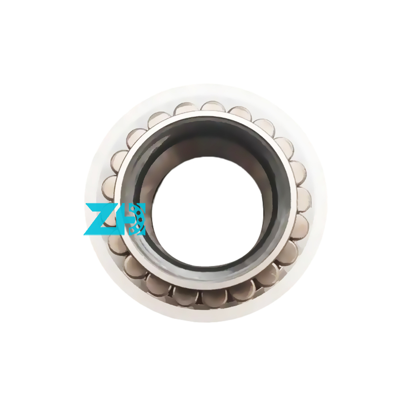 TJ601341 Doppelreihe zylindrische Walzlager Größe 40X80X31MM hohe Präzision & Ladekapazität