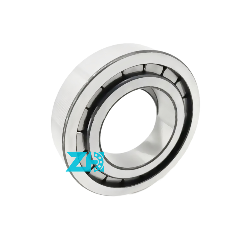 Hydraulisches Pumpenlager F-203740.nup 25x54x21mm Einreihe zylindrische Walzlager F-203740