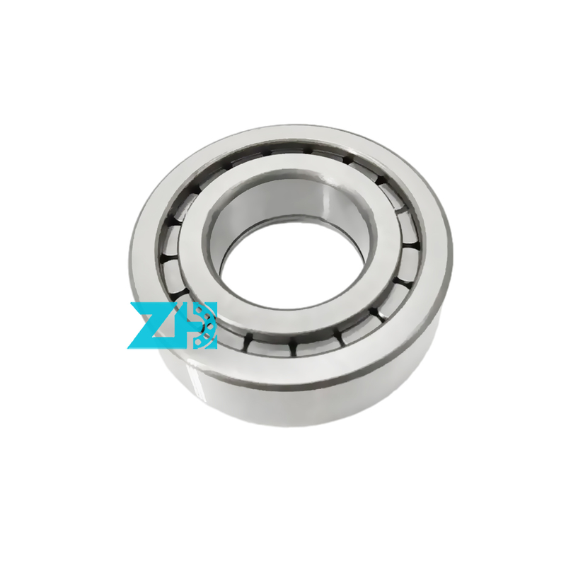 Hydraulisches Pumpenlager F-203740.nup 25x54x21mm Einreihe zylindrische Walzlager F-203740