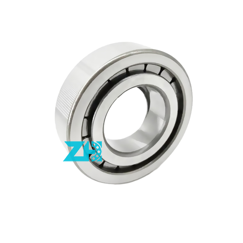 Hydraulisches Pumpenlager F-203740.nup 25x54x21mm Einreihe zylindrische Walzlager F-203740